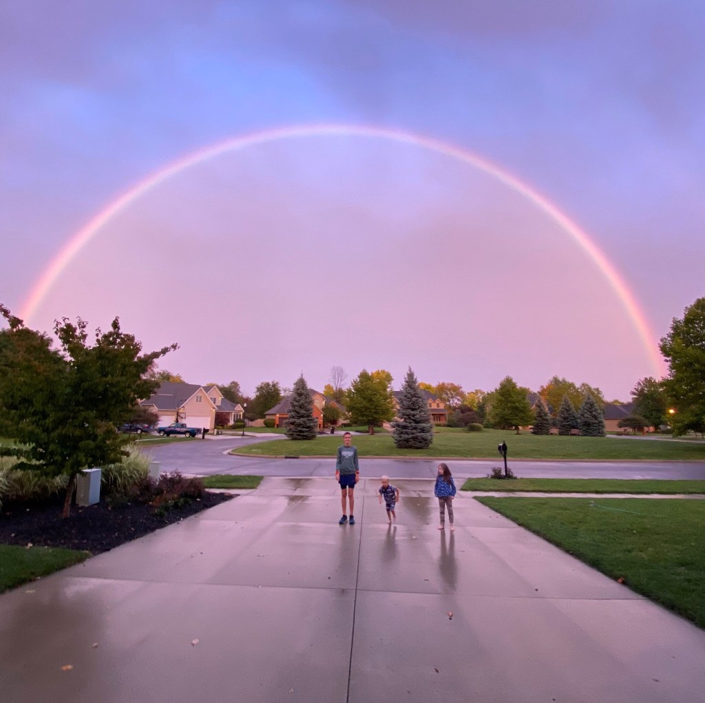 2020 Lessons Learned: From Mowing the Lawn to Celebrity Driven&nbsp;Christianity